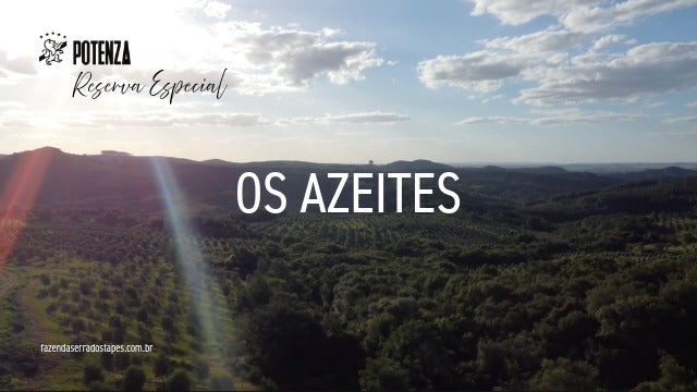 Os Azeites: quando a natureza encontra a maestria