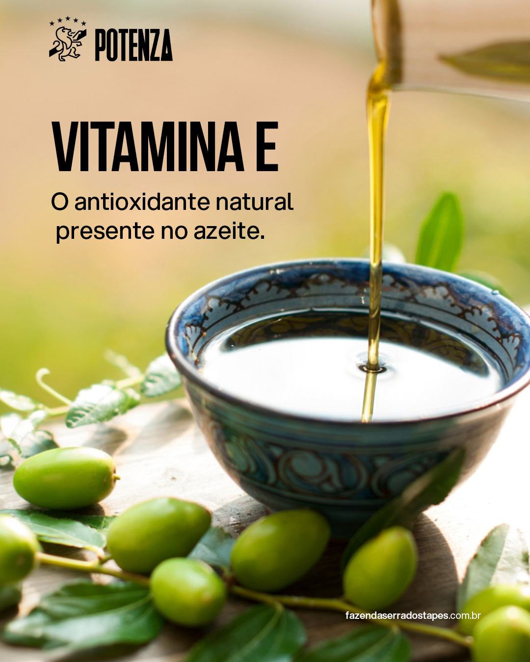 Vitamina E no azeite: o antioxidante natural que protege de dentro para fora